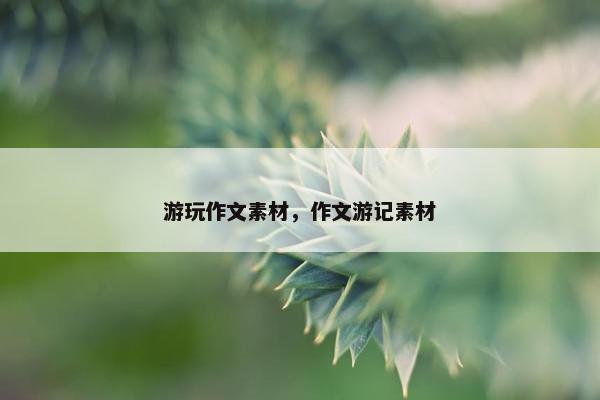 游玩作文素材，作文游记素材