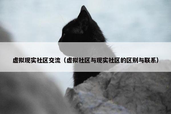 虚拟现实社区交流（虚拟社区与现实社区的区别与联系）
