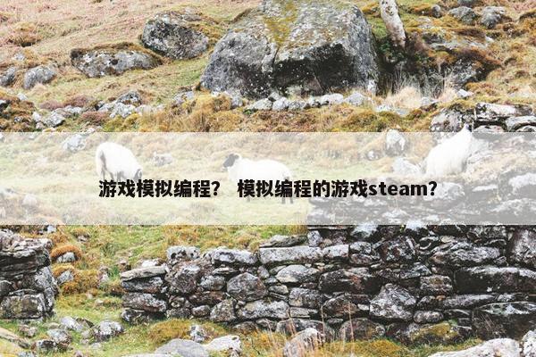 游戏模拟编程？ 模拟编程的游戏steam？