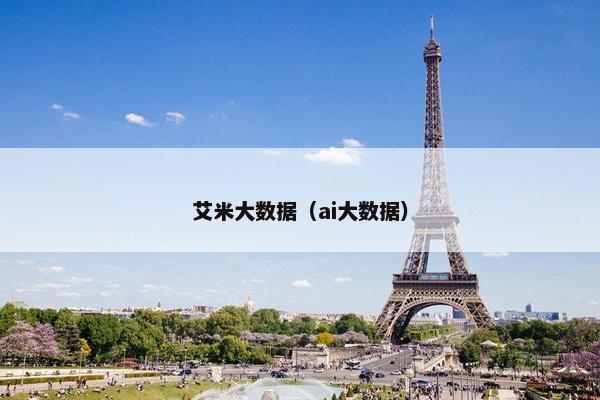 艾米大数据（ai大数据）