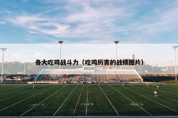 各大吃鸡战斗力（吃鸡厉害的战绩图片）