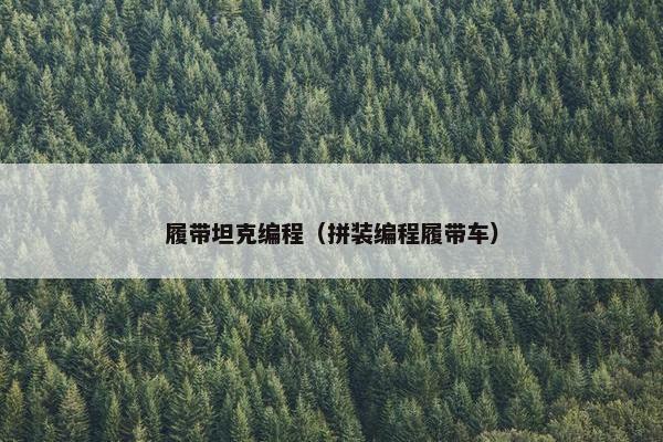 履带坦克编程（拼装编程履带车）