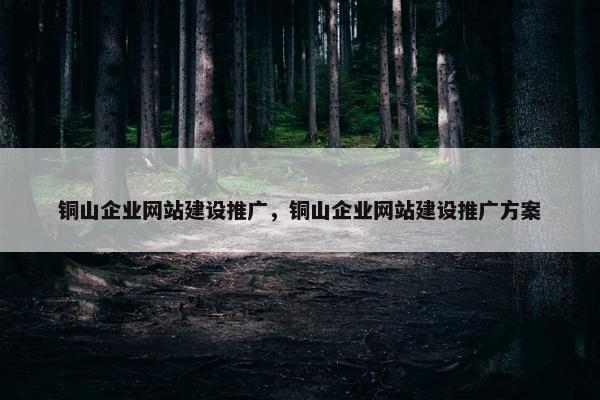 铜山企业网站建设推广，铜山企业网站建设推广方案