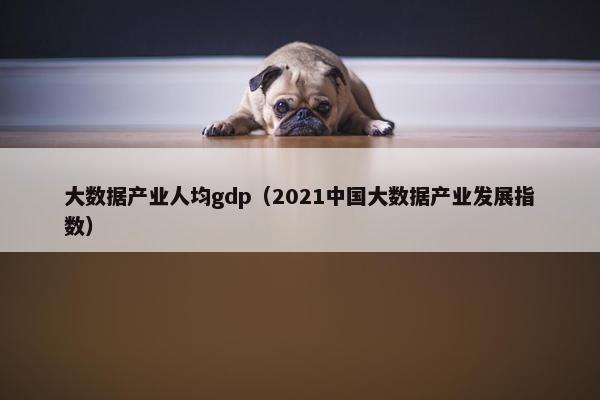 大数据产业人均gdp（2021中国大数据产业发展指数）
