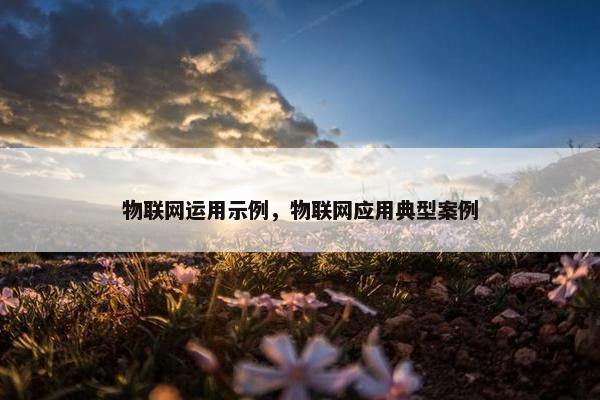 物联网运用示例，物联网应用典型案例