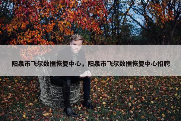阳泉市飞尔数据恢复中心，阳泉市飞尔数据恢复中心招聘