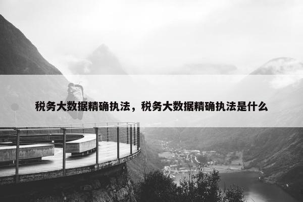 税务大数据精确执法，税务大数据精确执法是什么