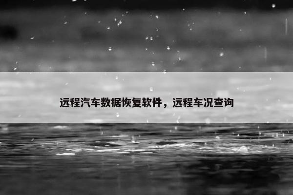 远程汽车数据恢复软件，远程车况查询