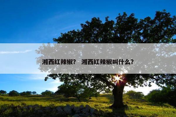 湘西红辣椒？ 湘西红辣椒叫什么？