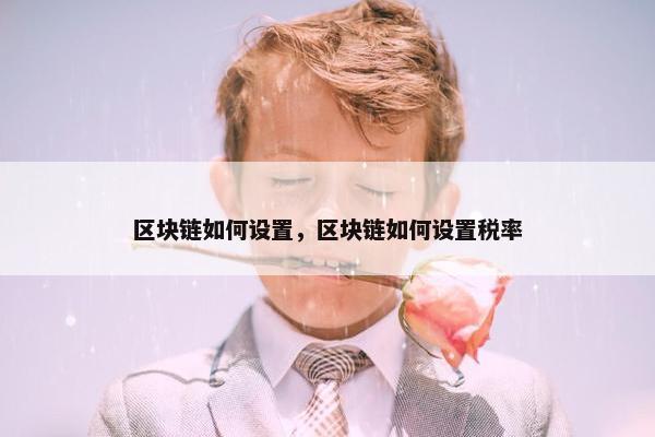 区块链如何设置，区块链如何设置税率