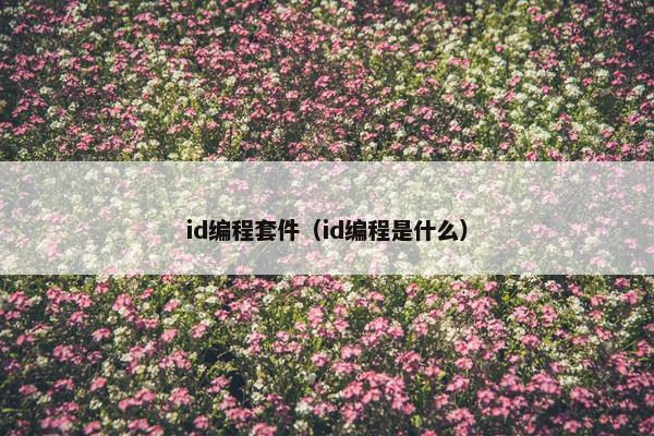 id编程套件（id编程是什么）