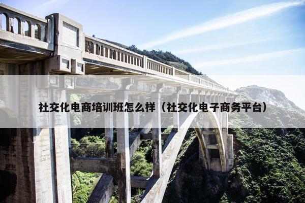 社交化电商培训班怎么样（社交化电子商务平台）