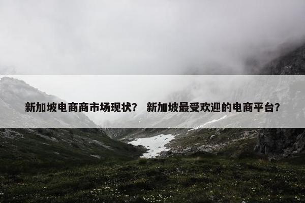 新加坡电商商市场现状？ 新加坡最受欢迎的电商平台？