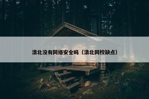 清北没有网络安全吗（清北网校缺点）