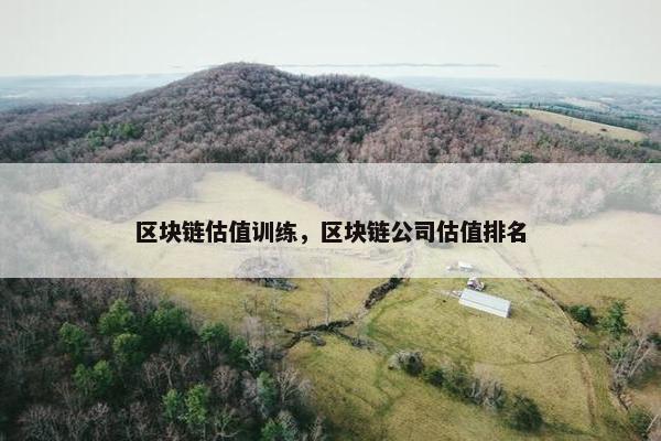 区块链估值训练，区块链公司估值排名