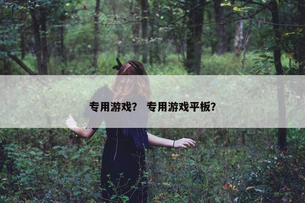 专用游戏？ 专用游戏平板？