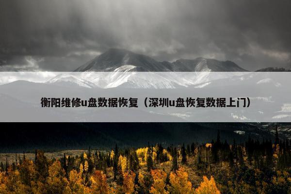衡阳维修u盘数据恢复（深圳u盘恢复数据上门）
