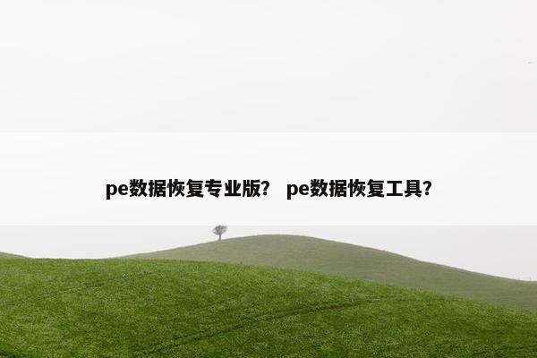 pe数据恢复专业版？ pe数据恢复工具？