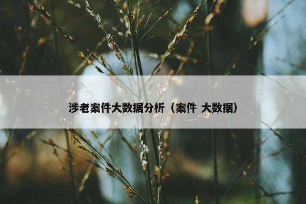 涉老案件大数据分析（案件 大数据）