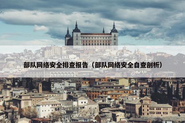 部队网络安全排查报告（部队网络安全自查剖析）