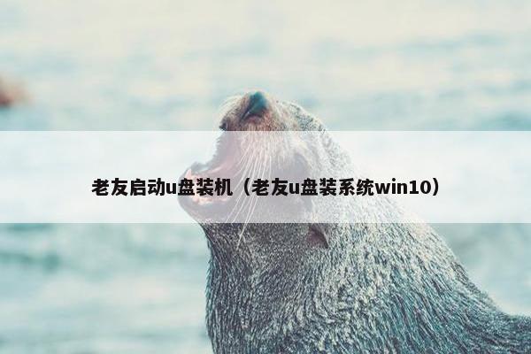 老友启动u盘装机（老友u盘装系统win10）