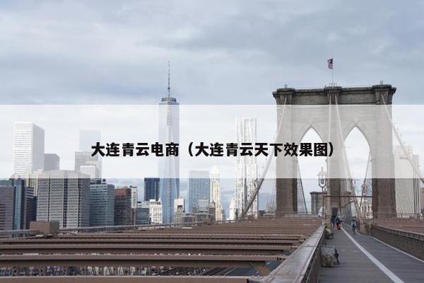 大连青云电商（大连青云天下效果图）