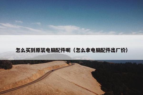 怎么买到原装电脑配件呢（怎么拿电脑配件出厂价）