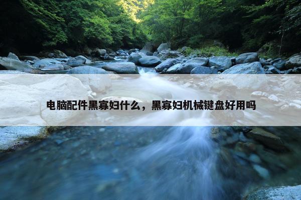 电脑配件黑寡妇什么，黑寡妇机械键盘好用吗