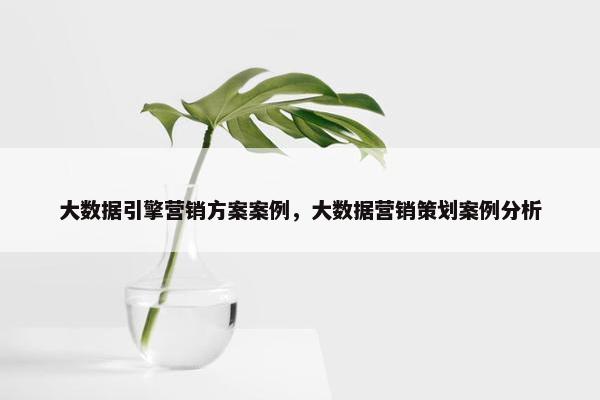 大数据引擎营销方案案例，大数据营销策划案例分析