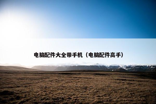电脑配件大全带手机（电脑配件高手）