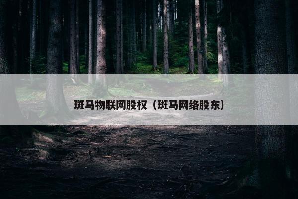 斑马物联网股权（斑马网络股东）