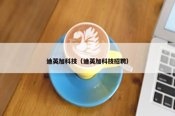 迪英加科技（迪英加科技招聘）