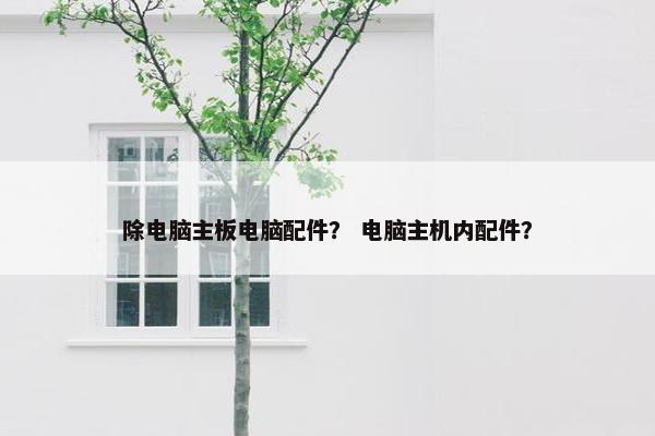 除电脑主板电脑配件？ 电脑主机内配件？