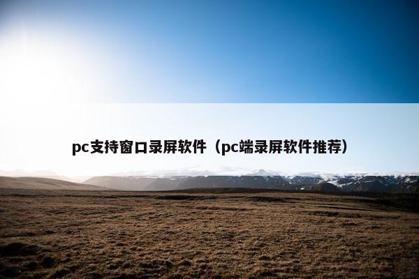 pc支持窗口录屏软件（pc端录屏软件推荐）