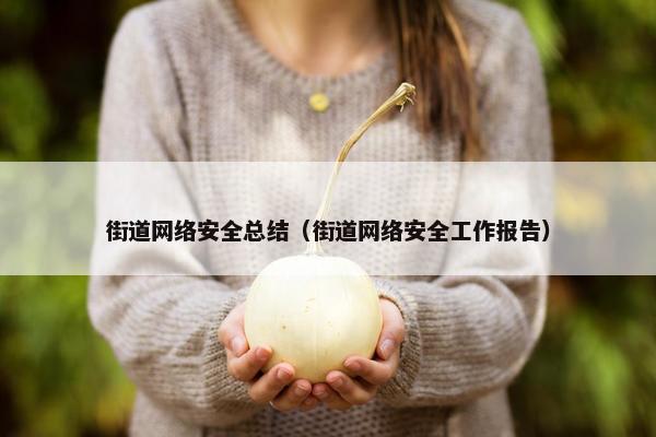 街道网络安全总结（街道网络安全工作报告）