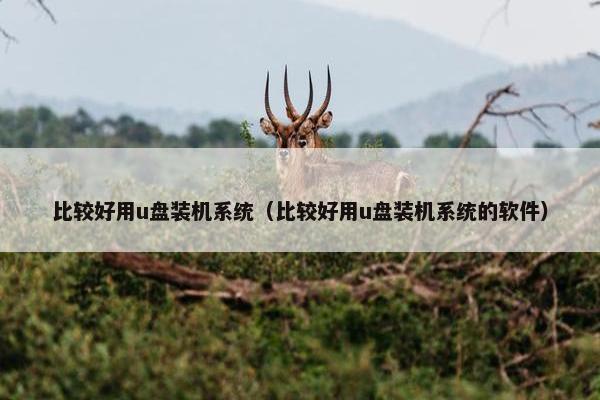 比较好用u盘装机系统（比较好用u盘装机系统的软件）