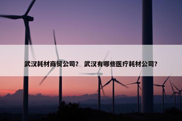 武汉耗材商贸公司？ 武汉有哪些医疗耗材公司？