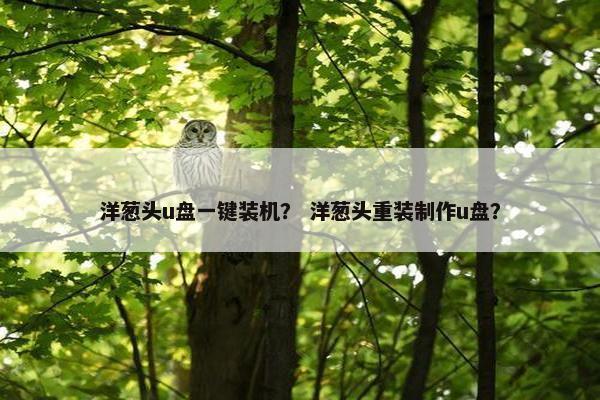 洋葱头u盘一键装机？ 洋葱头重装制作u盘？