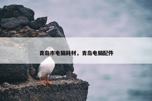 青岛市电脑耗材，青岛电脑配件
