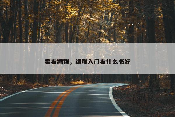 要看编程，编程入门看什么书好