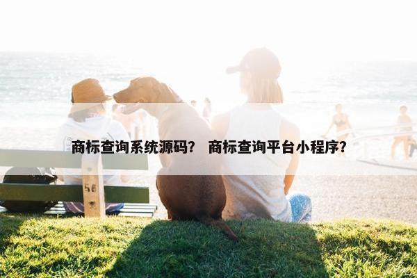 商标查询系统源码？ 商标查询平台小程序？