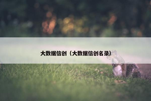 大数据信创（大数据信创名录）