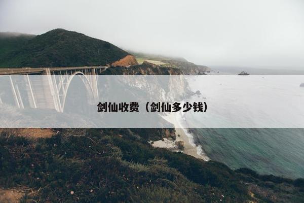 剑仙收费（剑仙多少钱）