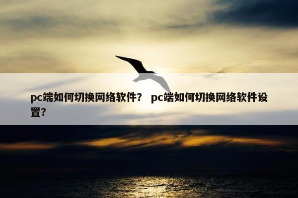 pc端如何切换网络软件？ pc端如何切换网络软件设置？