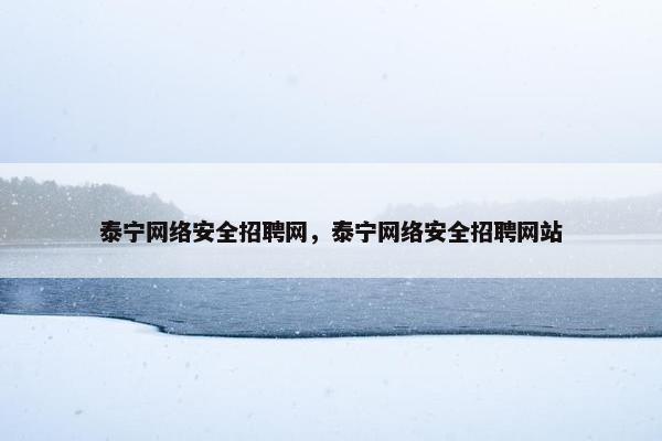 泰宁网络安全招聘网，泰宁网络安全招聘网站