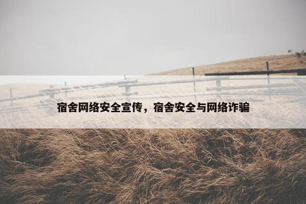 宿舍网络安全宣传，宿舍安全与网络诈骗