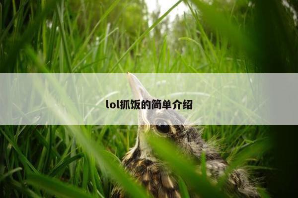 lol抓饭的简单介绍