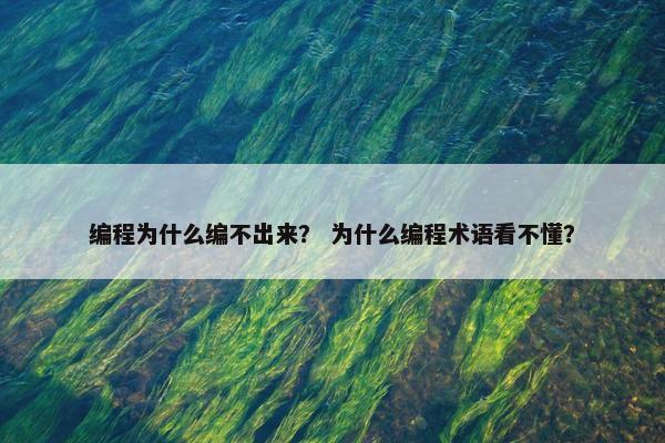 编程为什么编不出来？ 为什么编程术语看不懂？
