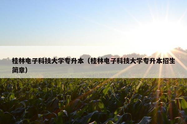 桂林电子科技大学专升本（桂林电子科技大学专升本招生简章）