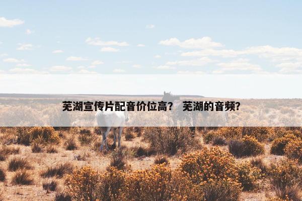 芜湖宣传片配音价位高？ 芜湖的音频？